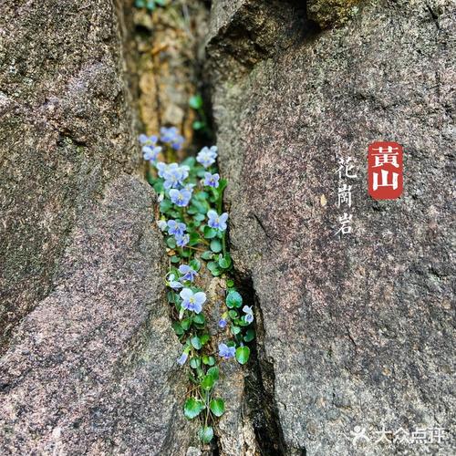 峰岩青黑,遥望仓黛
